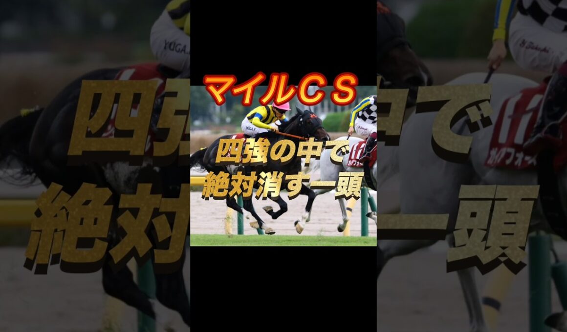 マイルチャンピオンシップ2025 四強の中で絶対消す一頭
