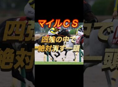マイルチャンピオンシップ2025 四強の中で絶対消す一頭