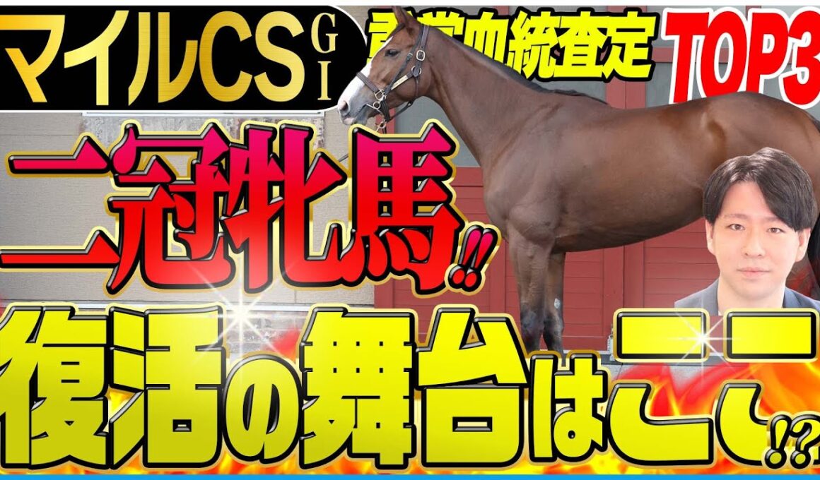 【マイルCS2025】二冠牝馬復活の舞台は整った！注目血統ハービンジャーを唯一内包する馬に注目！(坂上明大の重賞血統査定)《東スポ競馬》
