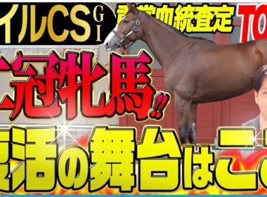 【マイルCS2025】二冠牝馬復活の舞台は整った！注目血統ハービンジャーを唯一内包する馬に注目！(坂上明大の重賞血統査定)《東スポ競馬》