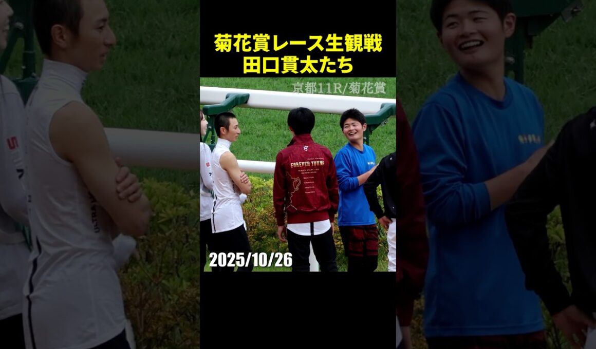 菊花賞も現地でレース生観戦する田口貫太や吉村誠之助たち #菊花賞 #田口貫太 #現地映像 #競馬 #shorts