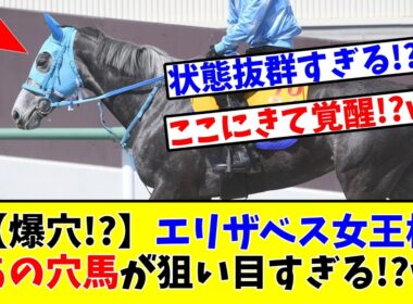 【エリザベス女王杯】【爆穴!?】エリザベス女王杯出走予定のあの穴馬が狙い目すぎる!?www