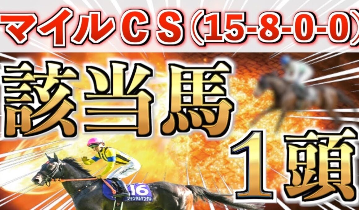 【マイルCS2025 予想】全条件パーフェクト◉想定4番人気の大穴＋鉄板馬を狙い撃つ！