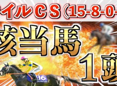 【マイルCS2025 予想】全条件パーフェクト◉想定4番人気の大穴＋鉄板馬を狙い撃つ！