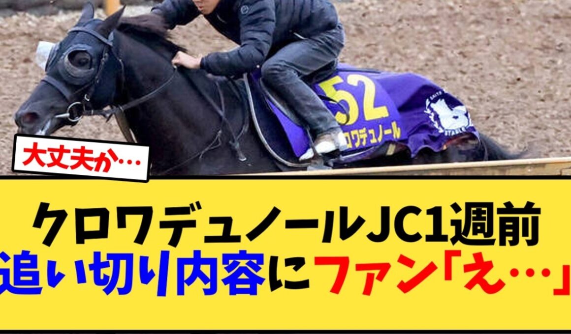 【ジャパンカップ】クロワデュノールJC1週前追い切りがヤバい…【競馬反応集】