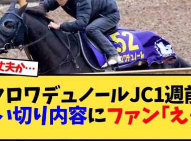 【ジャパンカップ】クロワデュノールJC1週前追い切りがヤバい…【競馬反応集】
