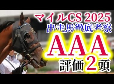 【マイルチャンピオンシップ 2025】ソウルラッシュ、ジャンタルマンタル、アスコリピチェーノのマイル魂が淀の舞台で大激突！！【出走馬徹底考察】