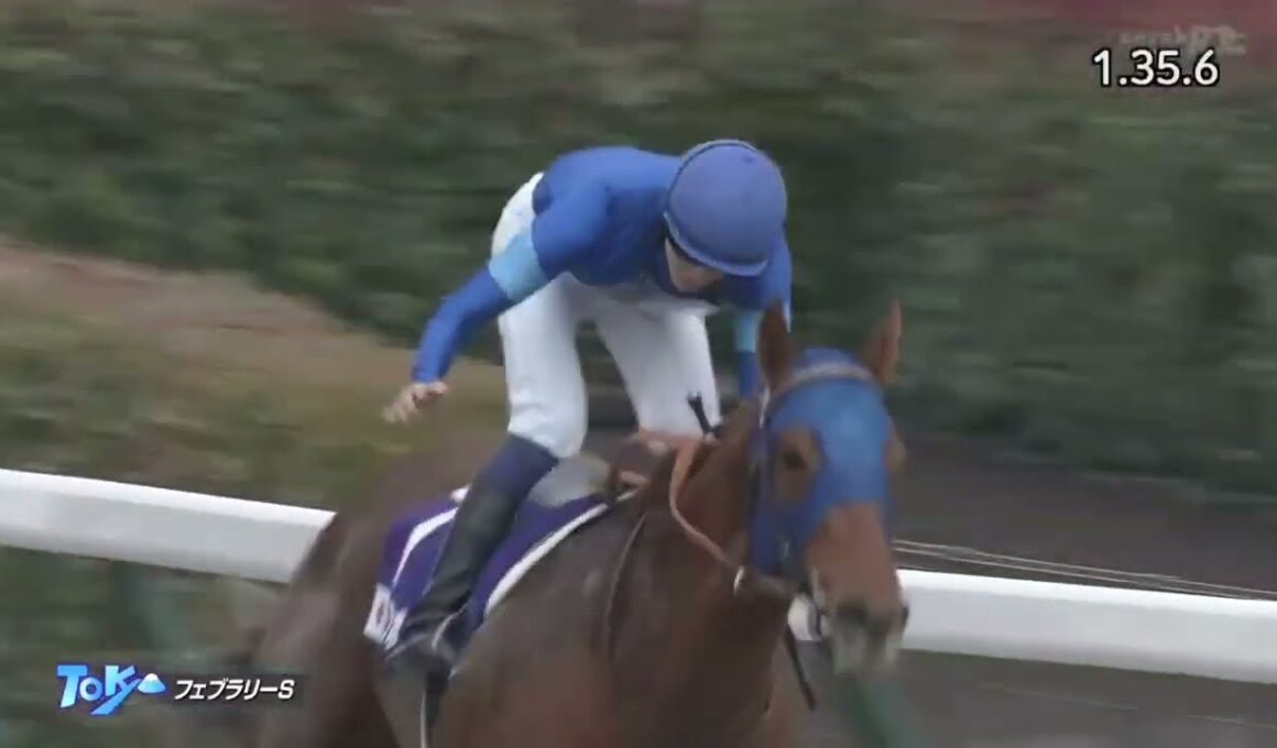 2023年 第40回 フェブラリーステークス(G1)(レモンポップ、坂井瑠星)