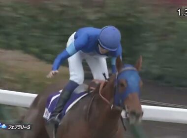 2023年 第40回 フェブラリーステークス(G1)(レモンポップ、坂井瑠星)