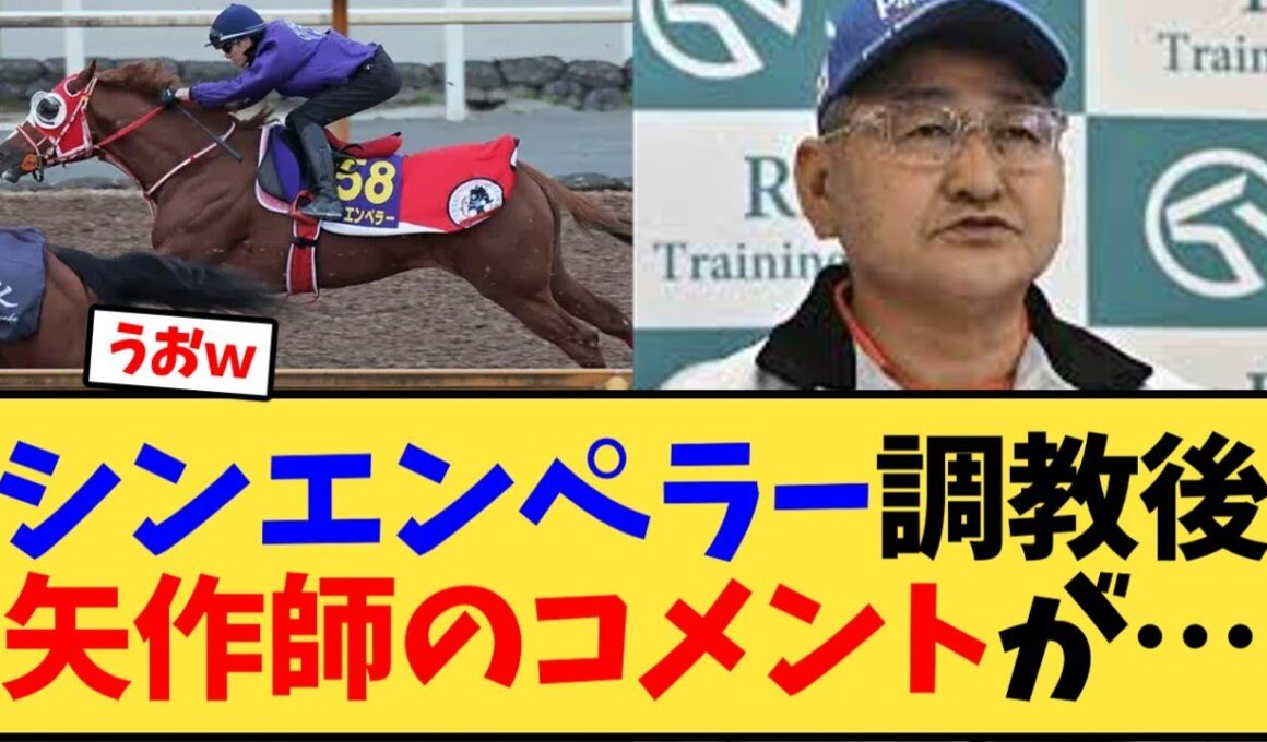 【ジャパンカップ】シンエンペラー1週前追い切り後の矢作師のコメントが…【競馬反応集】