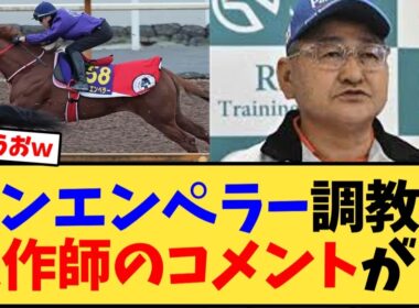 【ジャパンカップ】シンエンペラー1週前追い切り後の矢作師のコメントが…【競馬反応集】
