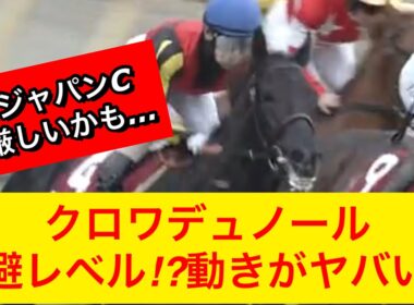 【競馬の反応集】クロワデュノールのジャパンカップ1週前追い切りがガチでヤバい…回避の可能性高まる【競馬】