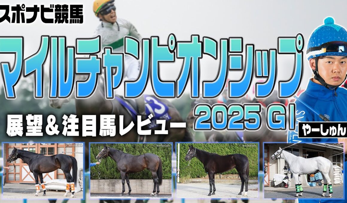 【展望】マイルチャンピオンシップは外枠に注目！Cコース替わりをどう読む？ジャンタルマンタル アスコリピチェーノ ソウルラッシュ ラヴァンダ ウォーターリヒト など【レース展望／スポナビ競馬】