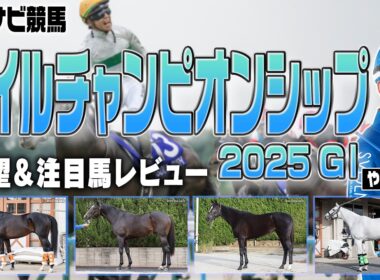 【展望】マイルチャンピオンシップは外枠に注目！Cコース替わりをどう読む？ジャンタルマンタル アスコリピチェーノ ソウルラッシュ ラヴァンダ ウォーターリヒト など【レース展望／スポナビ競馬】