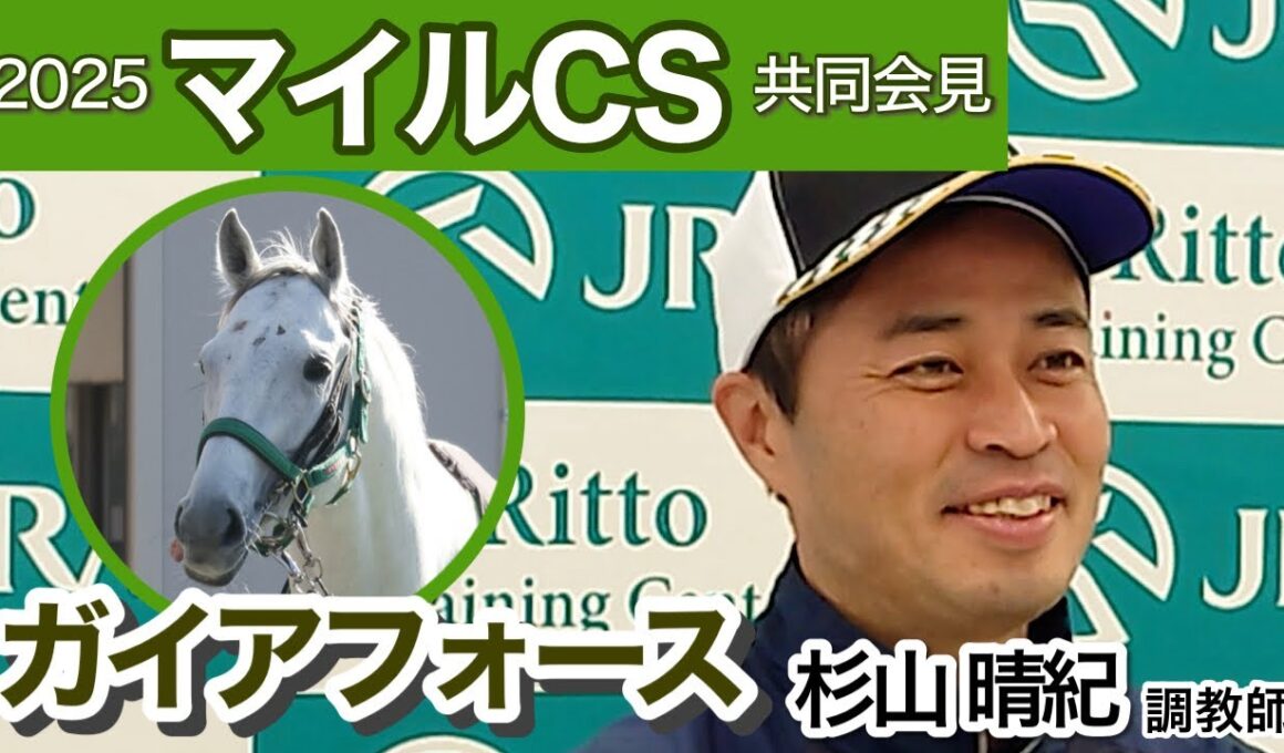 【マイルチャンピオンシップ2025】ガイアフォースの杉山晴紀調教師「京都の外回りは間違いなく合っている」…ＪＲＡ共同会見