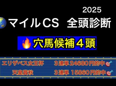 【競馬予想】　マイルチャンピオンシップ　2025  全頭診断　事前予想