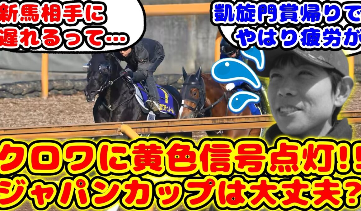 【競馬】クロワデュノール ジャパンカップへ向けて黄色信号点灯！調教に遅れがが話題に！！【競馬反応集】
