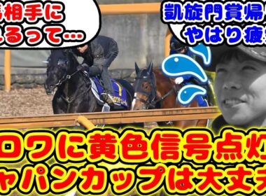【競馬】クロワデュノール ジャパンカップへ向けて黄色信号点灯！調教に遅れがが話題に！！【競馬反応集】