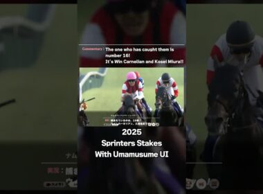 【ウマ娘風競馬MAD】第59回GⅠスプリンターズステークス(2025)の最終直線【Lite編集版】