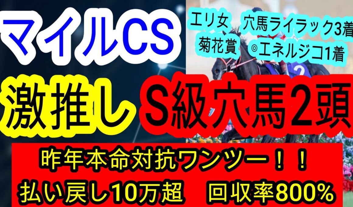 【競馬予想】マイルチャンピオンシップ2025　これを見れば簡単に当たる！？　ジャンタルマンタルを脅かす条件完璧なデータ最強馬を教えます！！