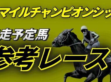 マイルチャンピオンシップ2025 参考レース