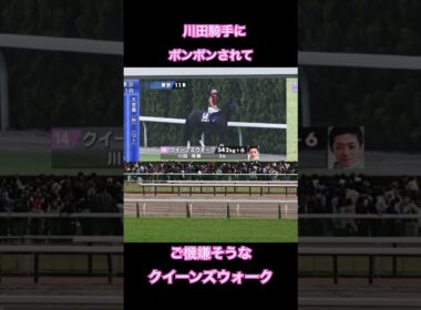 ポンポンされるクイーンズウォーク☺️ #天皇賞秋 #川田将雅騎手 #クイーンズウォーク #馬 #競馬 #horse #東京競馬場