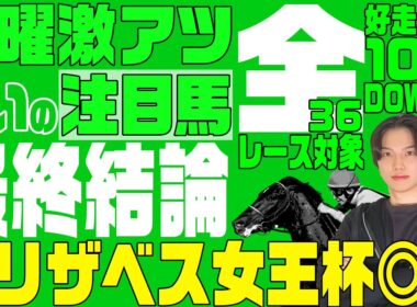 【2025エリザベス女王杯の最終結論◎】デイリー杯2歳S3連単4点で11210円🎯で絶好調ケイゾク！エリ女👑で高配当を当てる作戦とは！？更に高期待値馬＋危険な人気馬、目が離せない有益情報てんこ盛り！