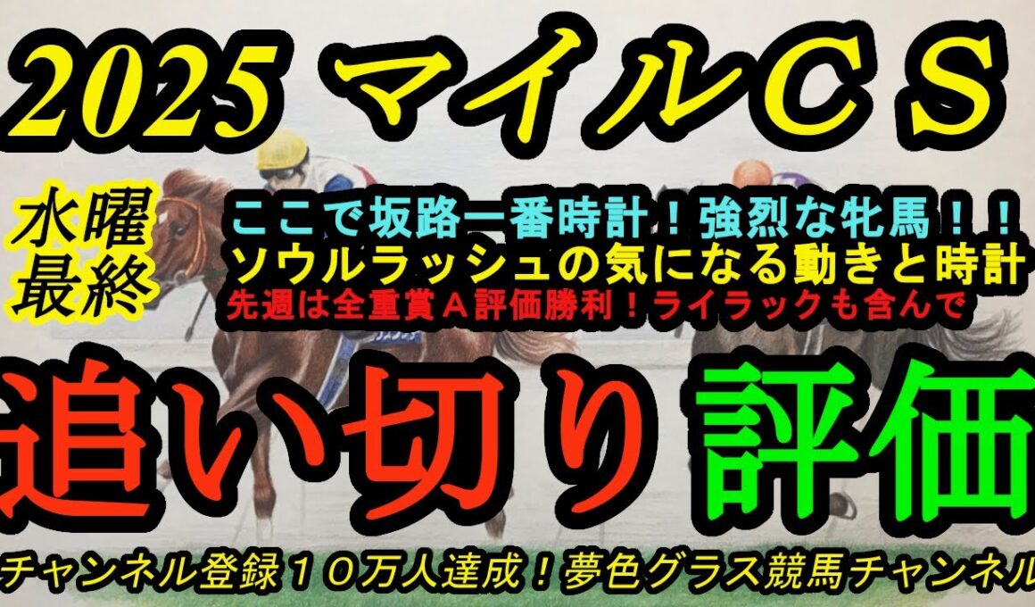 【最終追い切り評価】2025マイルチャンピオンシップ！ソウルラッシュの動きと時計の気になる点！坂路一番時計の強烈な牝馬！？