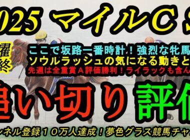 【最終追い切り評価】2025マイルチャンピオンシップ！ソウルラッシュの動きと時計の気になる点！坂路一番時計の強烈な牝馬！？