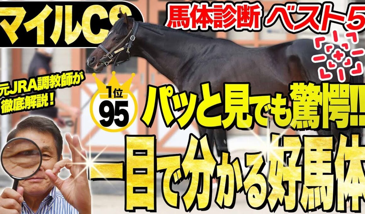 【マイルCS2025】中村均元調教師が馬体診断ベスト５を発表　先週のレガレイラと同じ？『あれ、いい馬がいるな』一目で気づいた好馬体の１頭とは？《東スポ競馬》