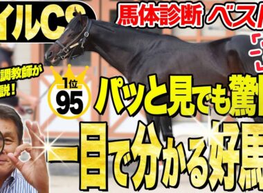 【マイルCS2025】中村均元調教師が馬体診断ベスト５を発表　先週のレガレイラと同じ？『あれ、いい馬がいるな』一目で気づいた好馬体の１頭とは？《東スポ競馬》