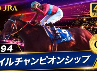 【4Kリマスター】1994年 マイルチャンピオンシップ（GⅠ） | ノースフライト | JRA公式