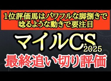 【マイルチャンピオンシップ2025】最終追い切り評価TOPはフットワークが大きくパワフルで唸るような動きを見せたあの馬！