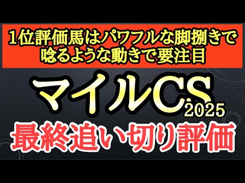 【マイルチャンピオンシップ2025】最終追い切り評価TOPはフットワークが大きくパワフルで唸るような動きを見せたあの馬！