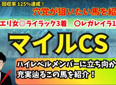 【穴党のマイルCS2025】穴党がマイルチャンピオンシップで狙いたい馬を紹介！