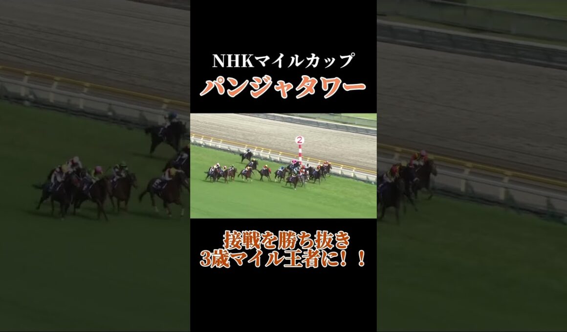 【接戦】パンジャタワーが激しい接戦を制して3歳マイル王者に！ #競馬 #nhkマイルカップ #パンジャタワー #horse #shorts #horseracing