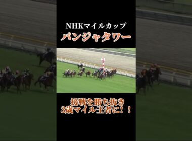 【接戦】パンジャタワーが激しい接戦を制して3歳マイル王者に！ #競馬 #nhkマイルカップ #パンジャタワー #horse #shorts #horseracing
