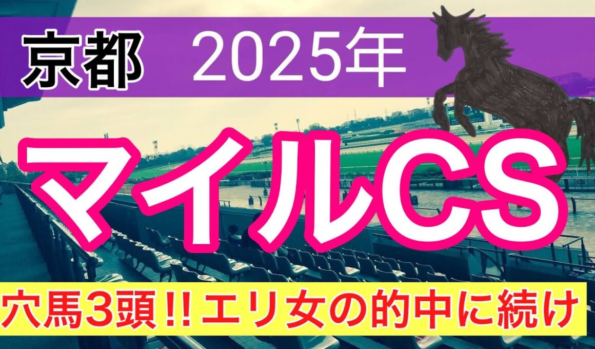 【マイルチャンピオンシップ2025】蓮の競馬予想(穴馬3頭)