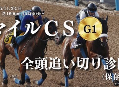 【マイルチャンピオンシップ(G1)2025】全頭追い切りを調教診断！ジャンタルマンタル・ソウルラッシュ・アスコリピチェーノ・ガイアフォース等(11月23日日曜日・京都競馬場・芝1600m）