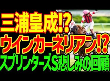 【三浦皇成G1制覇！】ウインカーネリアンとジューンブレア武豊が残った理由…これはフロック？サトノレーヴ、ママコチャ、ナムラクレアはなぜ負けた？2025年スプリンターズステークス回顧動画【競馬ゆっくり】