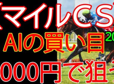 マイルチャンピオンシップ2025 | 1000円で何を買う？AI×過去10年が出した結論