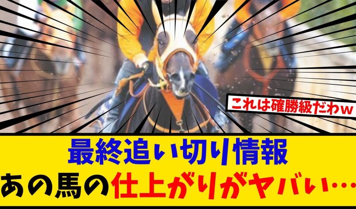 【マイルCS】「有力馬最終追い切り情報 あの馬の仕上がりがヤバすぎるだろ… 」に対するみんなの反応【反応集】