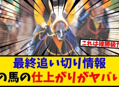 【マイルCS】「有力馬最終追い切り情報 あの馬の仕上がりがヤバすぎるだろ… 」に対するみんなの反応【反応集】