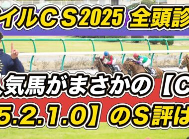 【マイルチャンピオンシップ2025全頭診断】人気馬にまさかの“C”　「5.2.1.0」鉄板級ホースにS評価献上！　予想の参考にぜひ