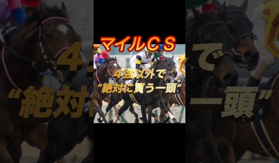マイルチャンピオンシップ2025 4強以外で“絶対に買う一頭”