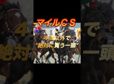マイルチャンピオンシップ2025 4強以外で“絶対に買う一頭”