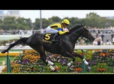 【🔥注目馬動向🔥】アイビーS覇者アンドゥーリル、堂々ホープフルSへ直行‼️🏇✨