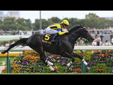 【🔥注目馬動向🔥】アイビーS覇者アンドゥーリル、堂々ホープフルSへ直行‼️🏇✨