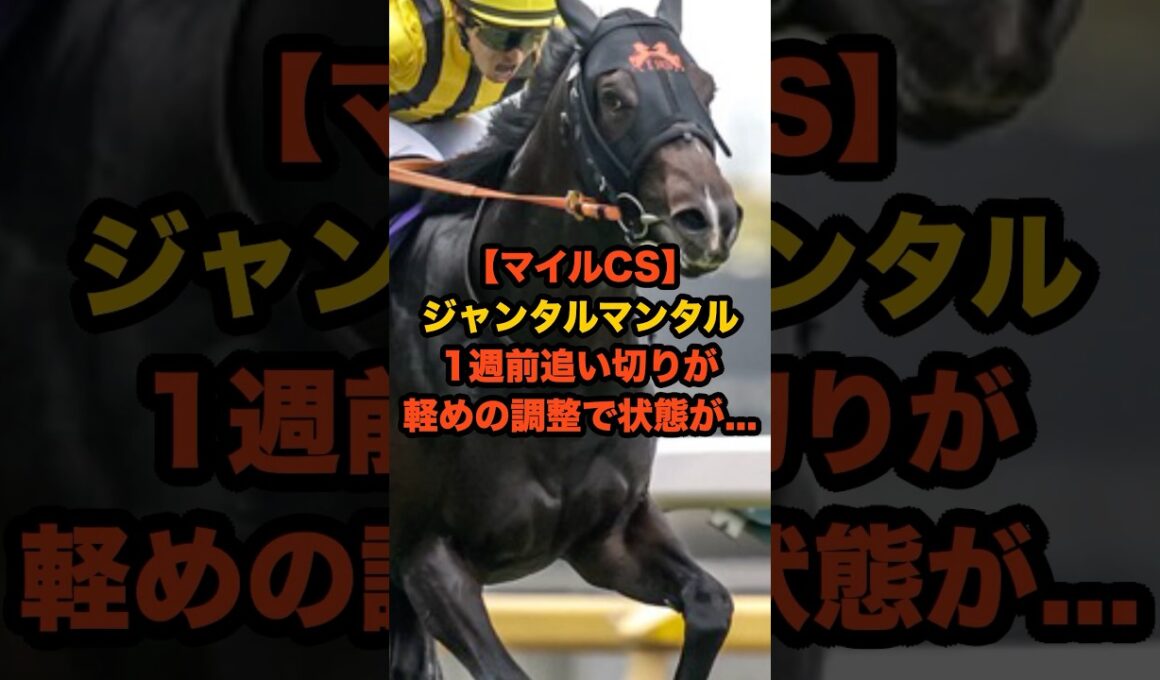 ジャンタルマンタル、軽めの追い切りでも春秋マイル制覇に視界良好！？#競馬 #マイルCS #マイルチャンピオンシップ #ジャンタルマンタル