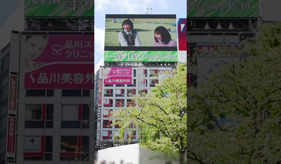 第85回皐月賞の告知を放映中！4/20に中山競馬場で開催されます、クラシック三冠競走の中でも最も速い馬が勝つと言われているレースです 暖かくなって、競馬場ピクニックにいい季節になってきましたね🤤🥪